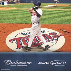 Budweiser Twins Baseball