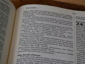 Book Publishers in Bordeaux, France