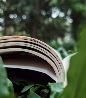 Book Publishers in Le Mans, France