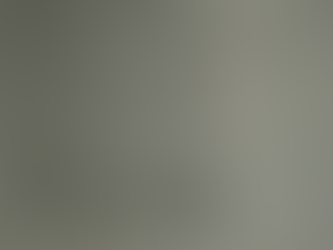 Book Publishers in Nice, France