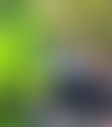 Book Publishers in Jilin, China