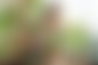 Book Publishers in Urumqi, China