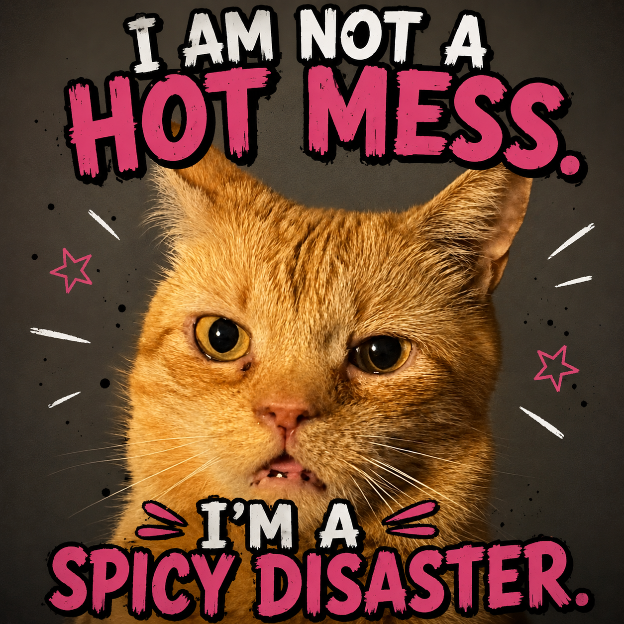 I'm Not a Hot Mess I'm a Spicy Disaster Funny Aloy Cat Drinkware