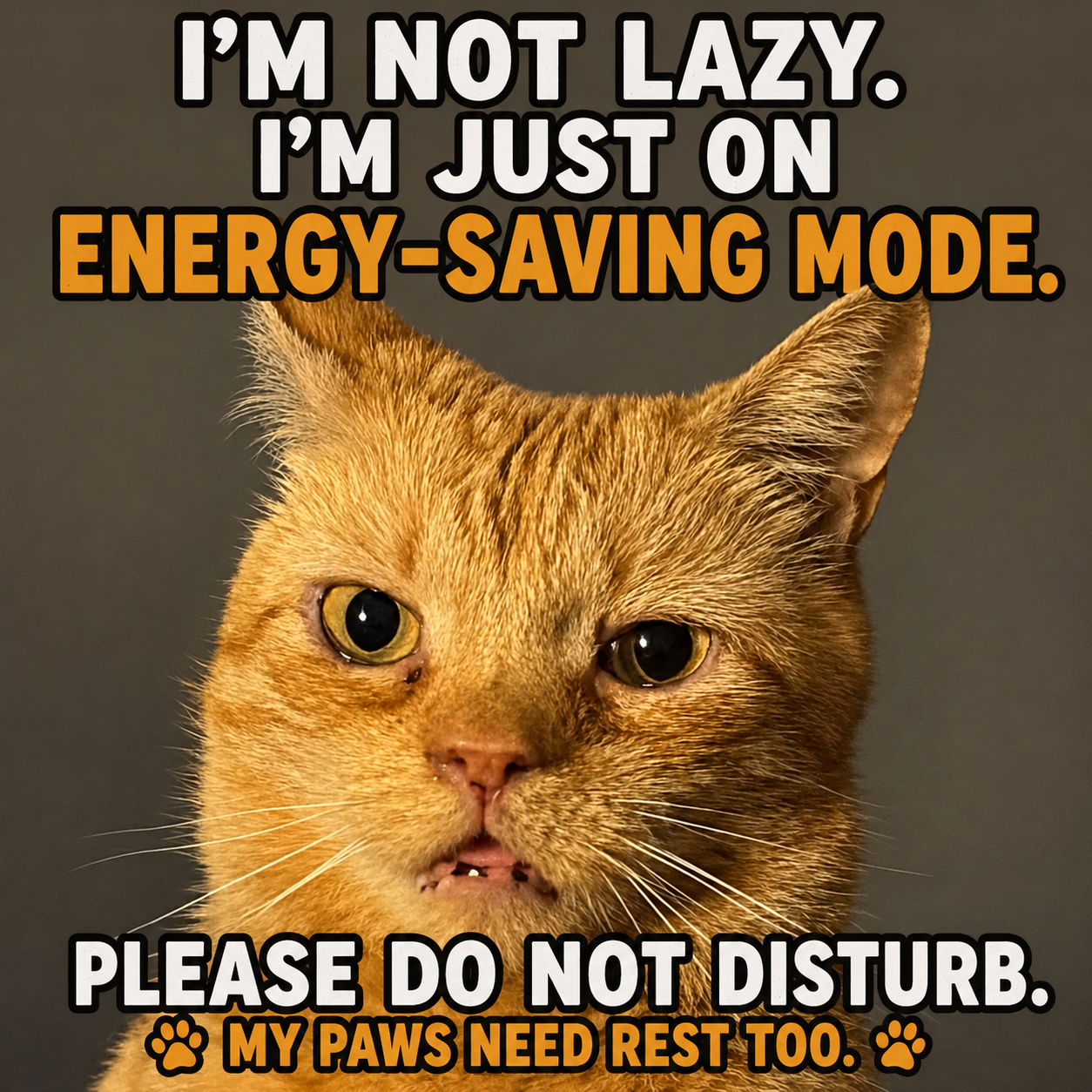 I'm Not Lazy I'm Just on Energy-Saving Mode Funny Aloy Drinkware