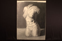 Plaster study