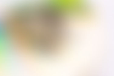 LOS MEJORES COLORES PARA PINTAR TU CASA