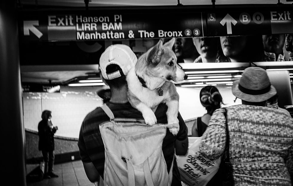 Atlantic Terminal, Brooklyn, 2021