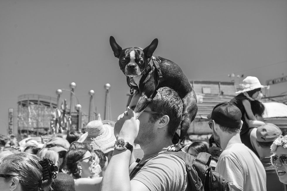 The Hat, Coney Island, NY, 2019