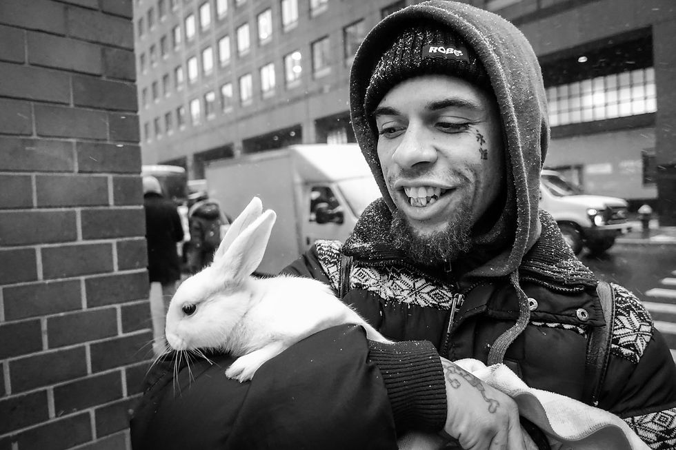Bunny Lover, 7th Avenue & 52nd Street, NYC, 2017