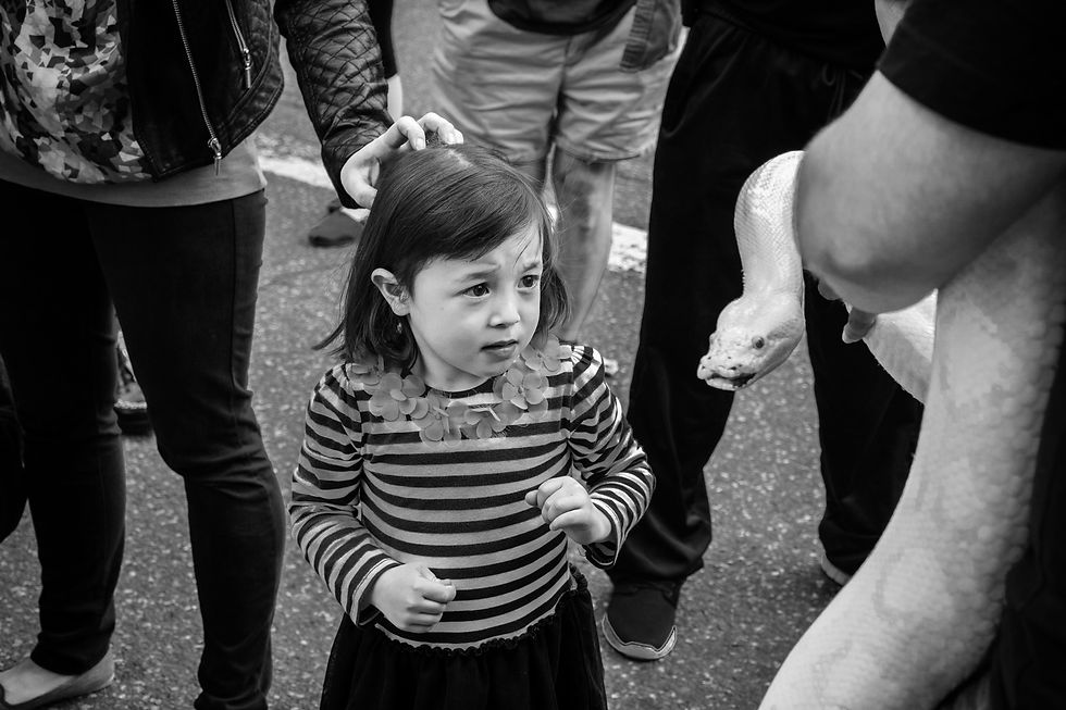 Hesitation, Park Slope, Brooklyn, 2014