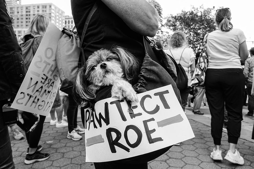 Foley Square, NYC, 2021