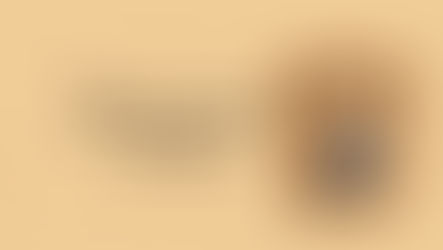 Đường xưa mây trắng - nơi cuộc đời Đức Phật trở nên gần gũi
