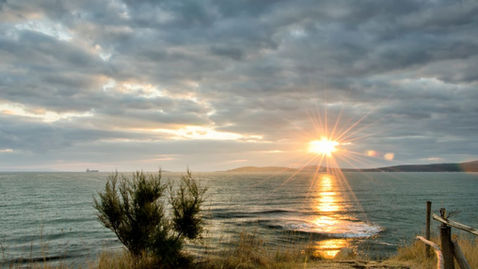 Trí Tuệ là gì? Có Trí Tuệ bạn sẽ là ánh sáng của chính cuộc đời mình