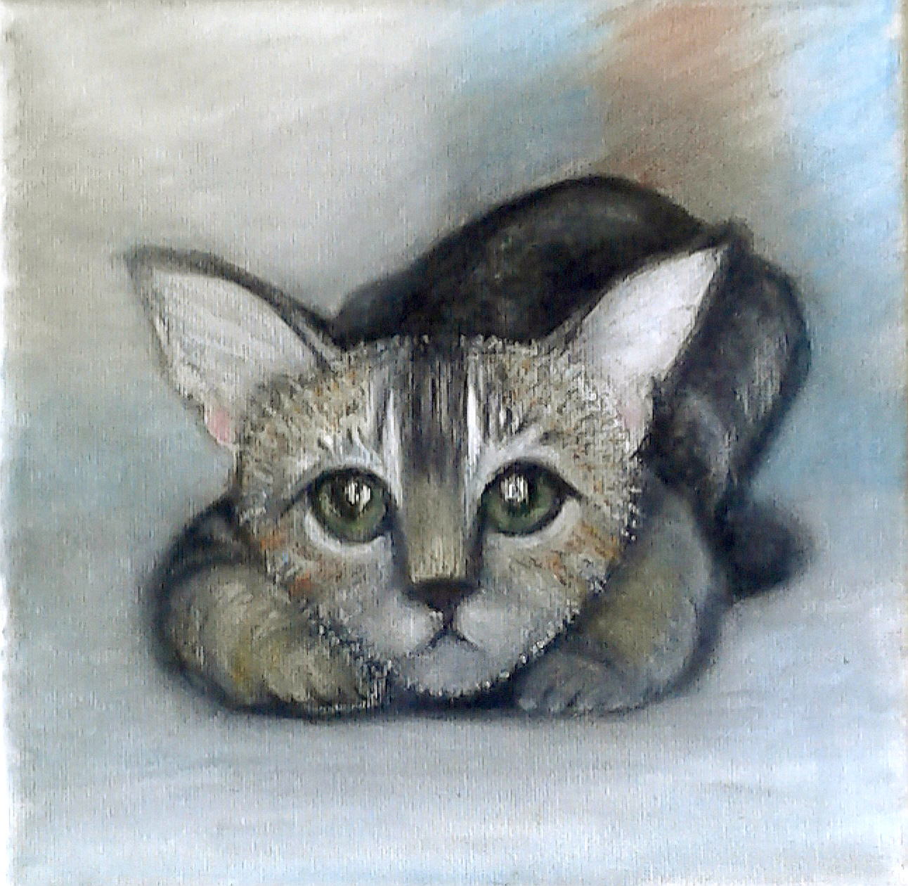 Kitty