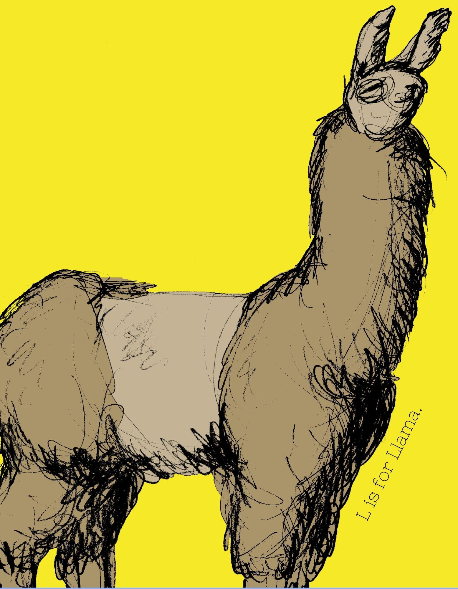 L is for Llama