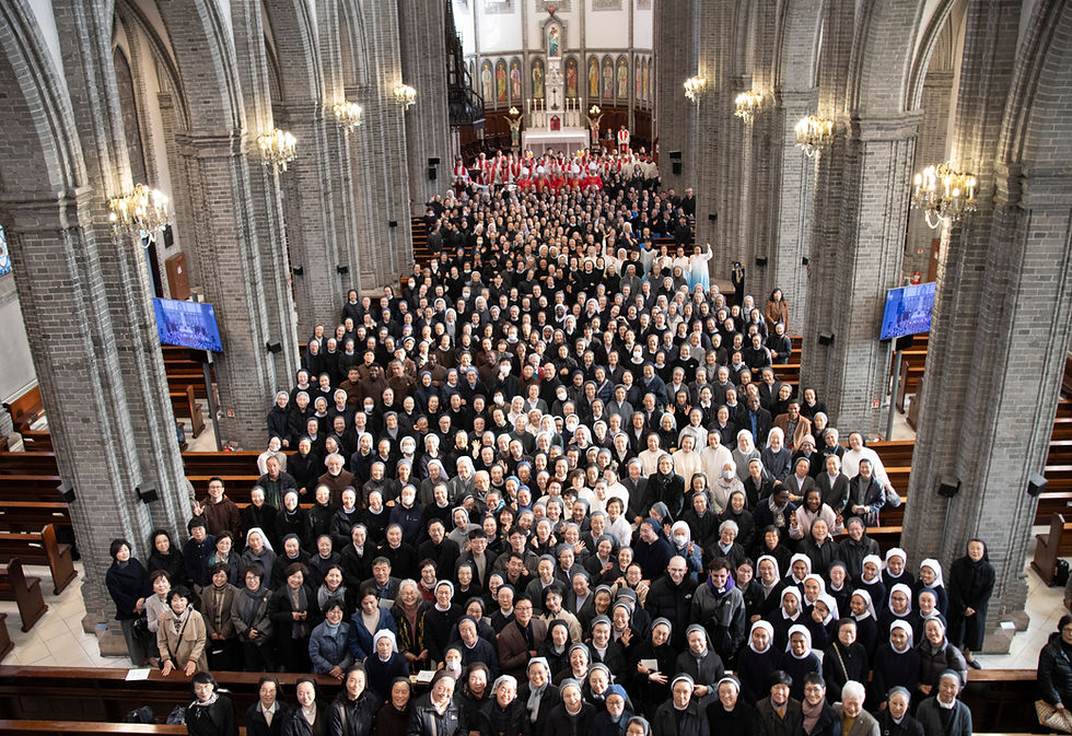 축성생활의 해 사진과 동영상