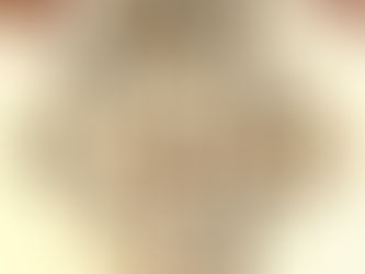 Morille Sauvage- La Saison de la Morille