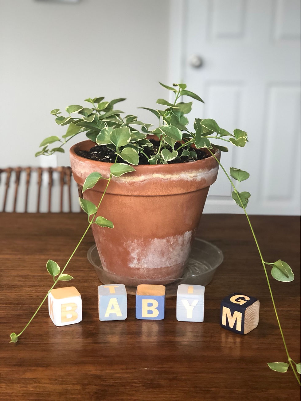 Handmade Baby Blocks