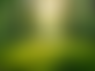 The Importance of Sustainable Living in Today's World
