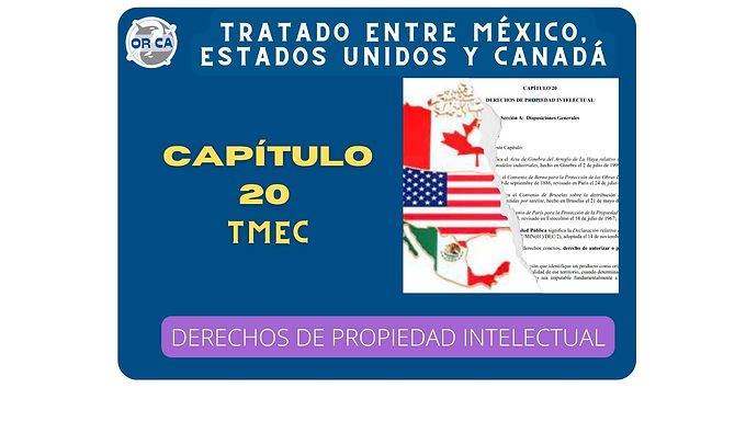 Tratado entre México, Estados Unidos y Canadá, Capítulo 20.