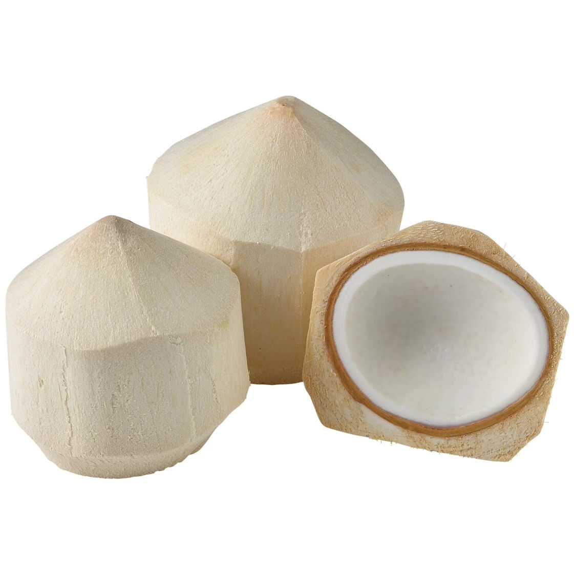 Taiwanese Coconut | Coco Taiwan
