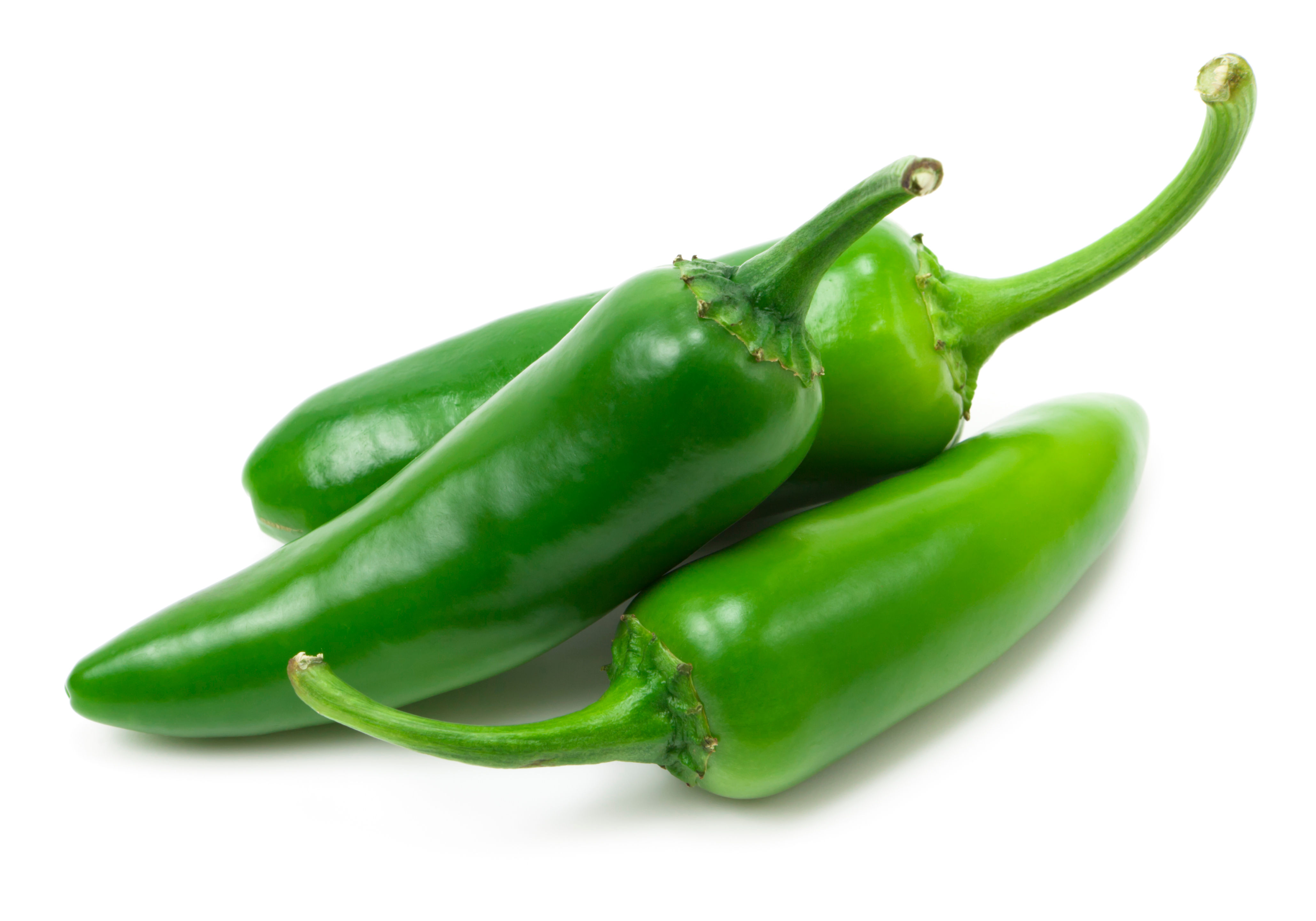 Jalapeno Pepper | Chile Jalapeño