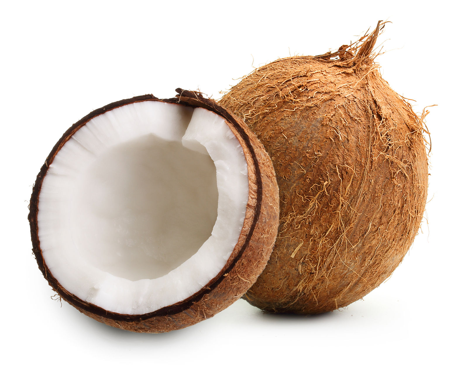 Fresh Coconut | Coco Fresco
