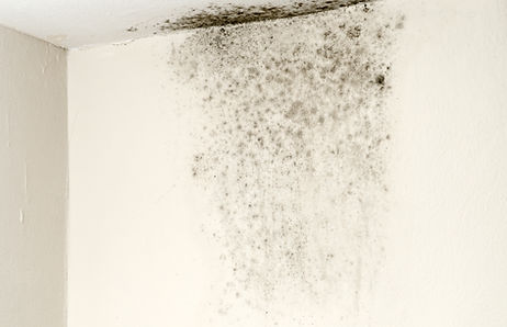 iStock-184964190.jpg