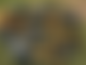 Discover the Best Outdoor Power Equipment for Your Needs