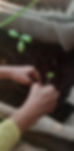 20191113_155025.jpg