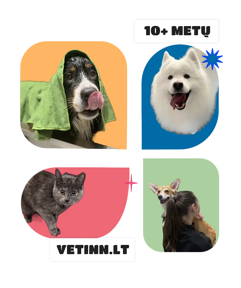 Artboard1.webp