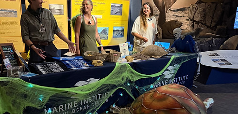 The Marine Institute team at Fins and Frights Night