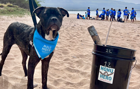 Corporate beach cleanup.