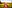 NikkiMagic_Bloom2022-1004.jpg