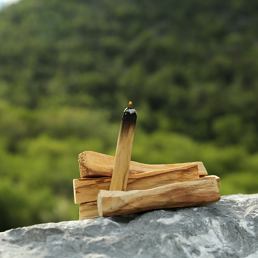 Palo Santo.png