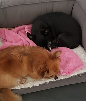IMG-20190329-WA0000 (2)_edited.jpg