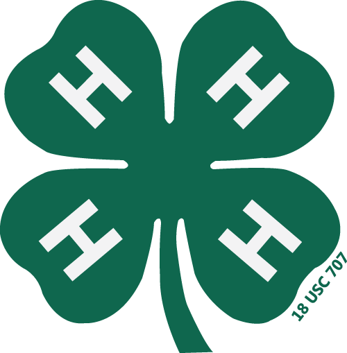 4h-clover-500x509-trans.gif