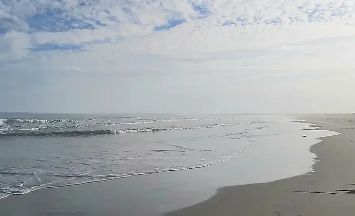 beach 2.webp