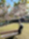S__27951189_0_mini.jpg