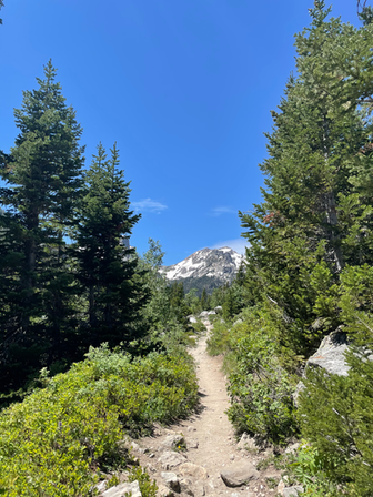 cascade canyon trail grand tetons