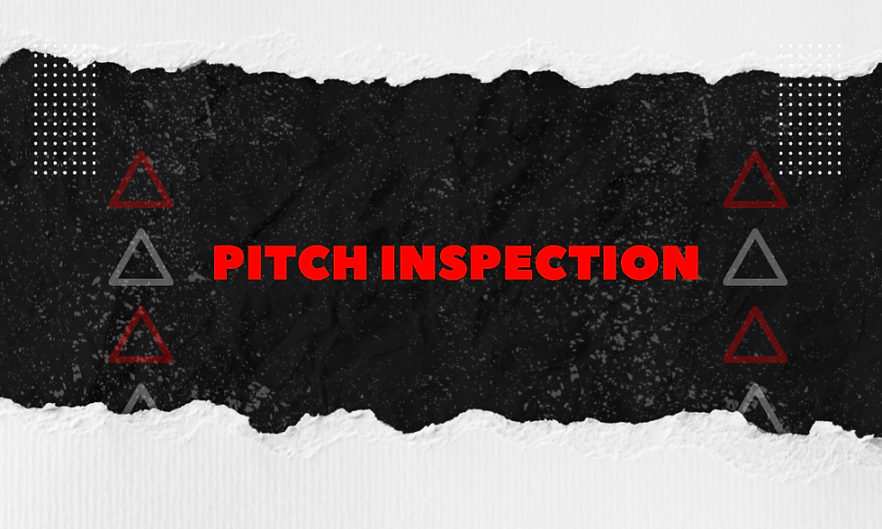 PITCH INSPECTION
