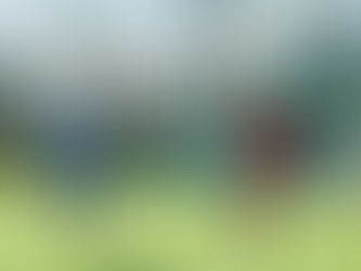 TOUGH DAY FOR NEEDHAM MARKET WOMEN