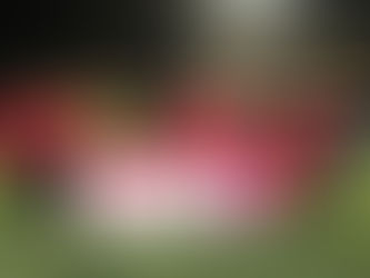 CO-OP SECURE RESPONSE BECOME SPONSOR OF NEEDHAM MARKET WOMEN