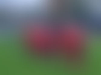 DEFEAT FOR NEEDHAM MARKET WOMEN