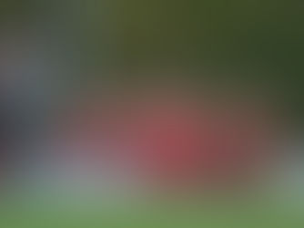 MARKETMEN RETURN TO THE LEAGUE WITH A BIG WIN