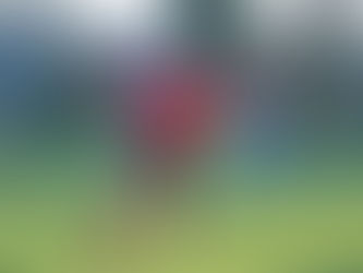 NEEDHAM MARKET WOMEN END 2023 WITH A WIN