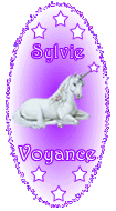 Sylvie Chaud logo
