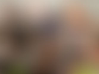 「職極人生」-好煮意廚藝培訓班