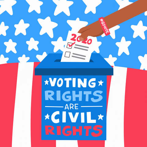voting rights.gif