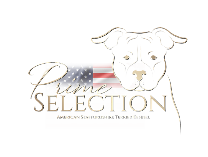 Logo Prime Selection vector 2.png